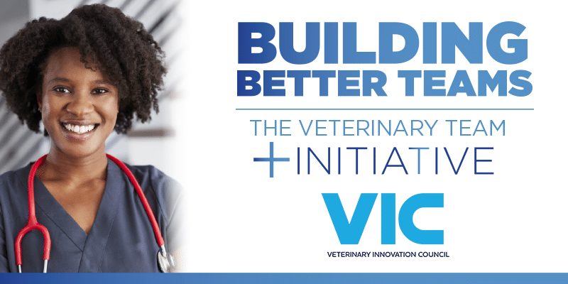 VIC_Nurse_Initiative (2) VIC building better teams